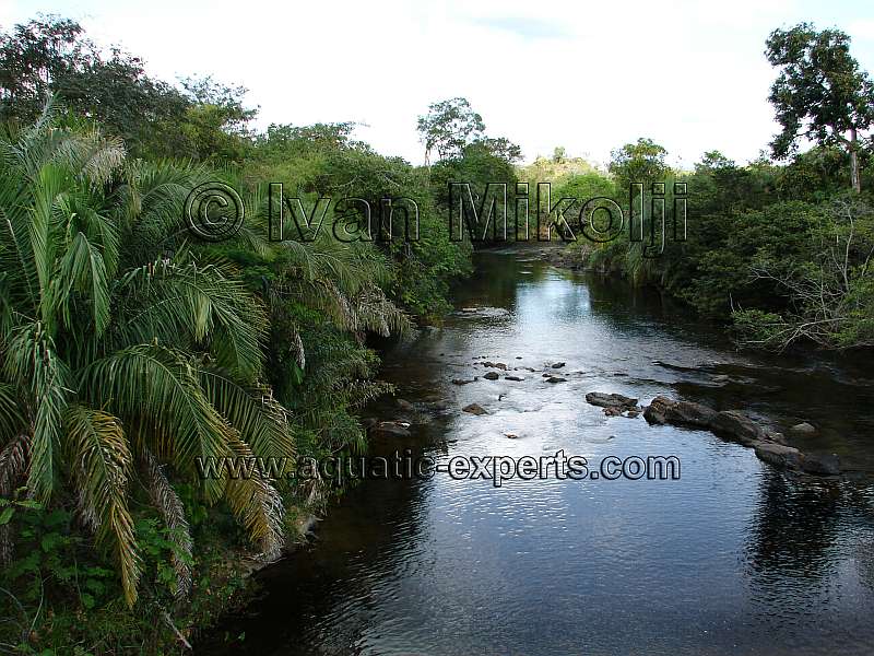 los rios de venezuela